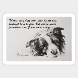 Thorns may hurt you...Border Collie Sticker